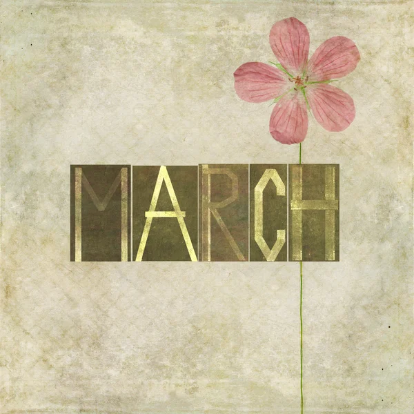 Palavra para o mês de março — Fotografia de Stock