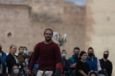 VILLAFRANCA, VERONA, ITALY, ECTOBER 09, 2021: Villafranca tarih etkinliği, baykuşlu kuş avı gösterisi