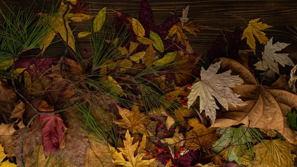 Zbliżenie Zdjęcia Jesiennych Liści Rustykalnym Tle — Zdjęcie stockowe