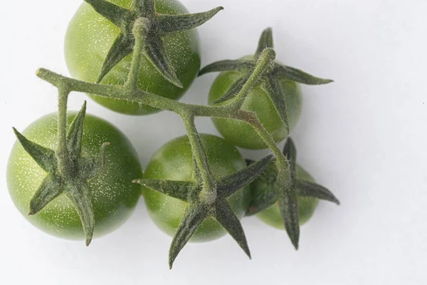 Tomates Verdes Frescos Fundo Branco — Fotografia de Stock