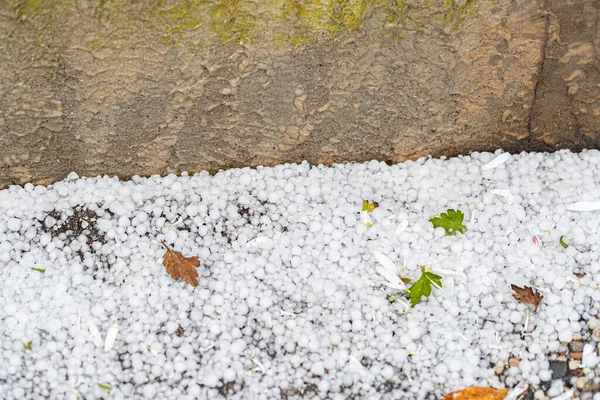 Close Shot Backyard Floor Covered Ice Hail Stock Image