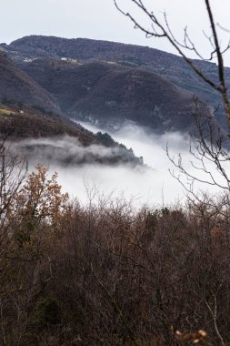 Dağlarda ağaçlar ve sis olan güzel bir manzara.
