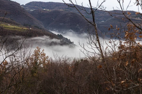 Hermoso Paisaje Con Árboles Niebla Las Montañas — Foto de Stock