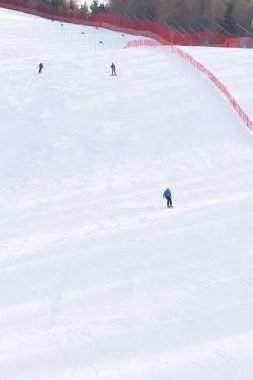 Kış sporu, dağlarda karla kaplı ağaçlar, kayak yapan insanlar.