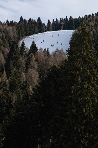 Wintersport Schneebedeckte Bäume Den Bergen Skifahren — Stockfoto