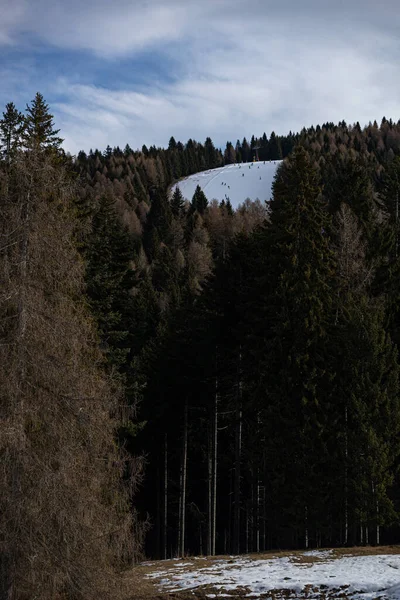 Zimní Sporty Zasněžené Stromy Horách Lyžování — Stock fotografie