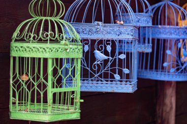 close-up shot of colorful bird cages hanging on street