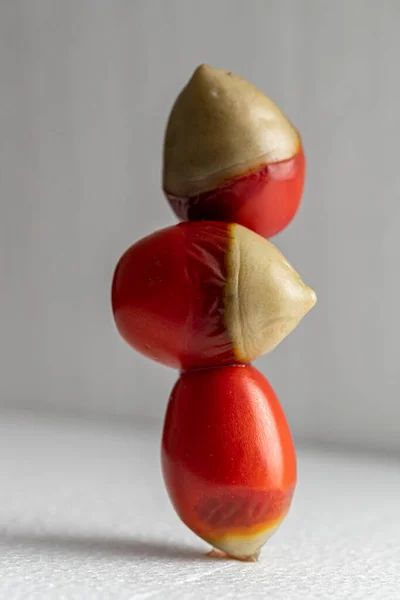 Pourriture Apicale Extrémité Fleur Dans Les Tomates — Photo