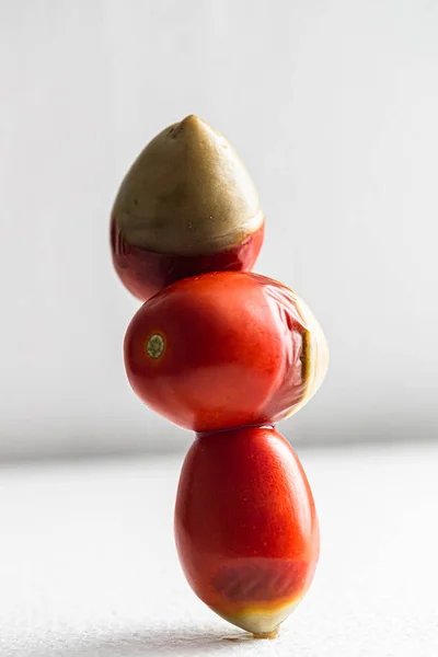 Flor Apical End Rot Tomates — Fotografia de Stock