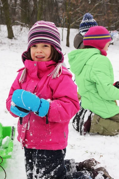 Bambini divertenti sulla neve — Foto Stock