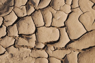 kuraklık toprak bu kadar susuz