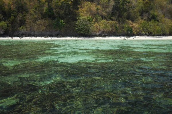 Τροπική παραλία, θάλασσα andaman, Ταϊλάνδη — Φωτογραφία Αρχείου