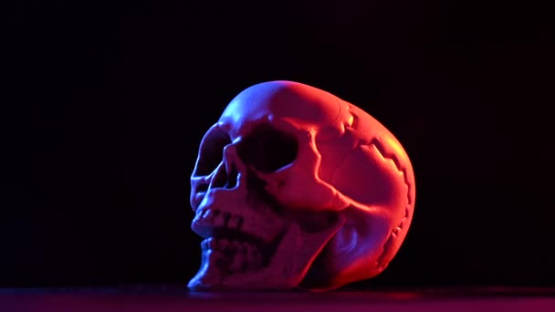 Totenkopf aus Kunststoff dreht sich in rosa blauem Licht auf schwarzem Hintergrund. — Stockvideo