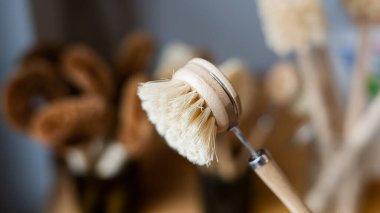 Hindistan cevizinden yapılmış eko fırçalar. Çevre dostu bir dükkanda plastiksiz ev eşyaları