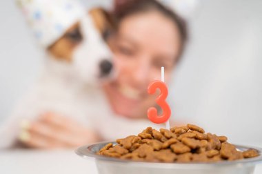 Beyaz kadın köpeğini 3. doğum gününde tebrik eder. Jack Russell Terrier mumu üflüyor.