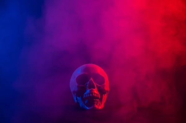 Teschio umano in fumo rosa e blu su fondo nero. Halloween. — Foto Stock