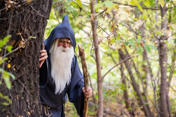 Un mago con una lunga barba grigia e un mantello in una foresta profonda. Un uomo anziano in costume da strega — Foto Stock
