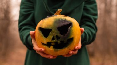 Bir cadı, yoğun bir sonbahar ormanında ürkütücü bir balkabağı tutuyor. Cadılar bayramı için fener.