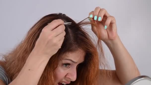 Mujer caucásica encuentra el pelo gris y lo quita con pinzas. Signos de envejecimiento. — Vídeo de stock