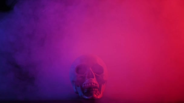 분홍색 과 파란색 연기를 머금은 사람의 두개골 이 검은 색 배경 위에 있습니다. 할로윈. — 비디오