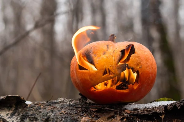 Gruseliger Kürbis mit Flammenzungen in einem dichten Wald. Jack o Laterne für halloween — Stockfoto