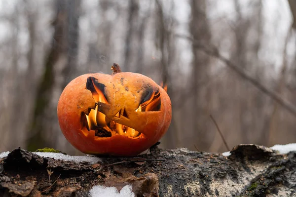 Enge pompoen met vlamtongen in een dicht bos. Jack o lantaarn voor Halloween — Stockfoto
