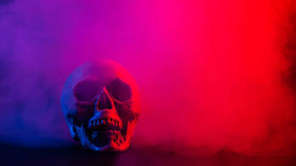 Teschio umano in fumo rosa e blu su fondo nero. Halloween. — Foto Stock