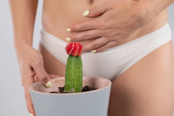 Femme en culotte blanche tient un cactus avec la main sur le ventre. — Photo