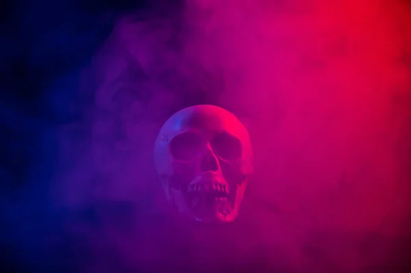 stock image Human skull in pink and blue smoke on a black background. Halloween.
