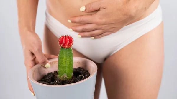Femme en culotte blanche tient un cactus avec la main sur le ventre. — Photo