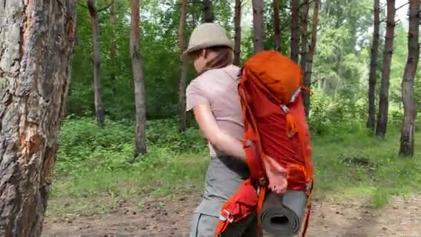 Giovane donna caucasica è impegnata in escursioni. Una ragazza con uno zaino turistico cammina attraverso la foresta di conifere — Video Stock