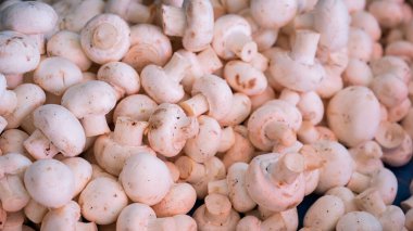 Şampiyonların yakın plan çekimi. Piyasada mantarlı bir rafın üst görüntüsü..