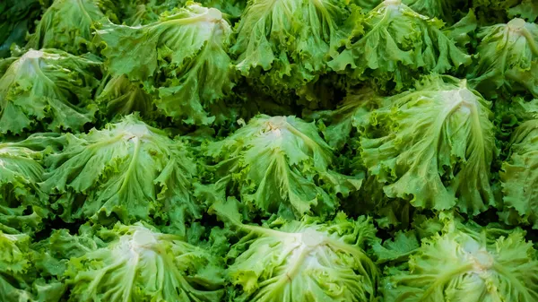 Tampilan atas rak dengan salad hijau di bazar. — Stok Foto
