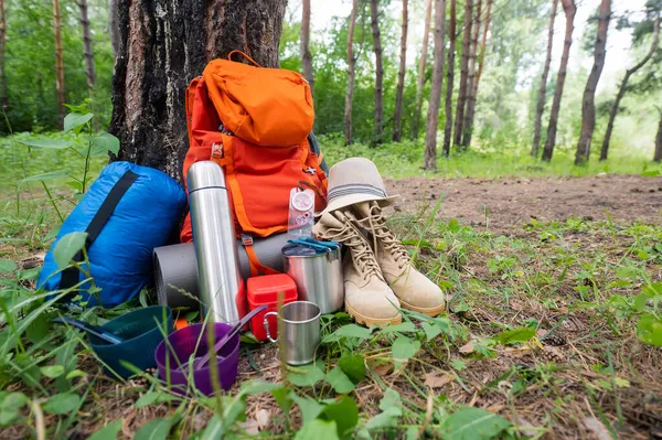 Обладнання для прогулянок в сосновому лісі. Рюкзак, термос, спальний мішок, компас, капелюх та взуття — стокове фото