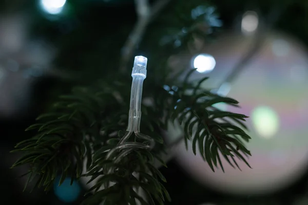 Close-up de uma luz guirlanda em uma árvore de Natal. — Fotografia de Stock