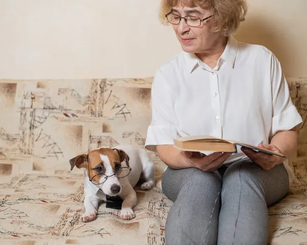 Akıllı bir köpekle kitap okuyan yaşlı beyaz kadın Jack Russell Terrier gözlüklü ve kanepede kravat takıyor.