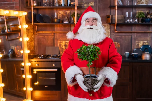 Santa Claus drží květináč na Vánoce. — Stock fotografie