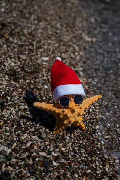 Зоряна риба в капелюсі Санта Клауса і сонцезахисні окуляри на гальковому пляжі біля моря . — стокове фото