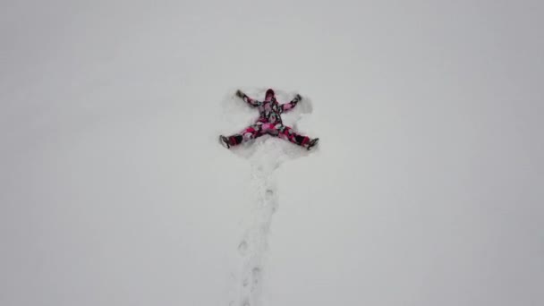 Vue de dessus d'une femme couchée dans la neige et faisant un ange. Fille jouer avec chien en hiver. — Video