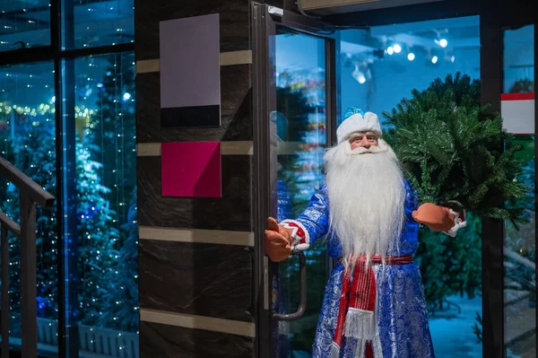 Ryska jultomten köpte en julgran på nyårsafton. — Stockfoto