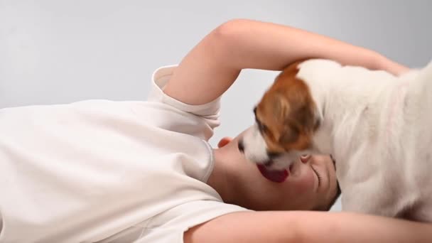 Jack Russell terriër hond likt de jongens gezicht. — Stockvideo