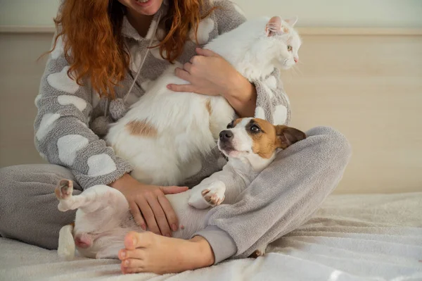 Mujer caucásica pelirroja abrazándose con un perro y un gato. —  Fotos de Stock