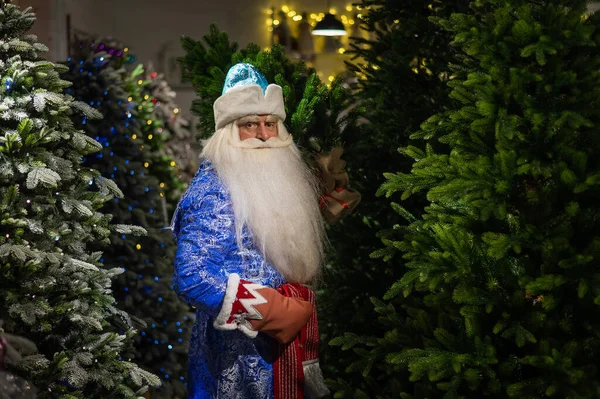Russian Santa Claus in the store of artificial Christmas trees. — Stock Photo, Image