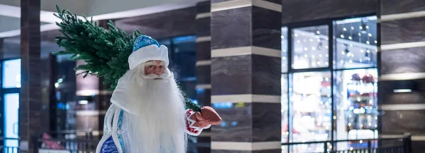 Père Noël russe claus porte un arbre de Noël à l'extérieur. — Photo