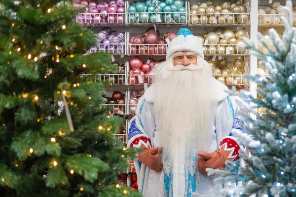 Papá Noel ruso elige decoraciones para el árbol de Navidad. —  Fotos de Stock