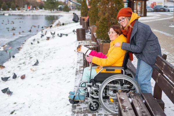 A woman in a wheelchair walks with her friend and a dog by the lake in winter. — Stockfoto