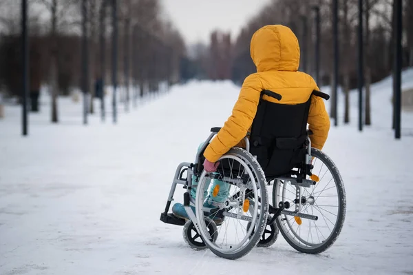 Caucasian woman with disabilities rides on a chair in the park in winter. Back view of a girl on a walk in a wheelchair. — 图库照片