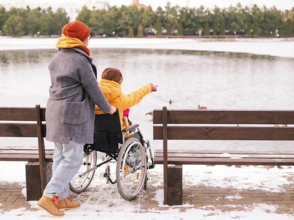 Белая женщина в инвалидном кресле и ее подруга сидят у озера с утками зимой. — стоковое фото