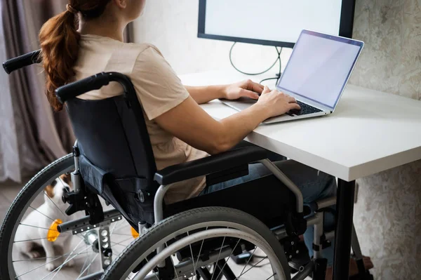 Biała kobieta na wózku z laptopem w domu. Praca zdalna dla osób niepełnosprawnych. — Zdjęcie stockowe