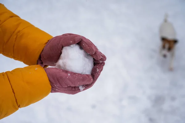 Großaufnahme Frau in Handschuhen, die einen Schneeball macht. — Stockfoto